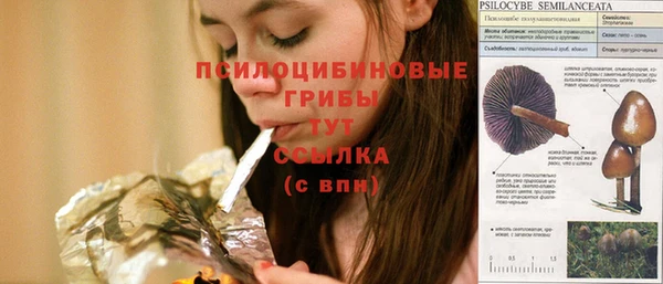 экстази Алексеевка