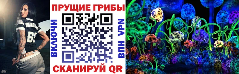нарко площадка как зайти  Асино  Псилоцибиновые грибы ЛСД  где найти наркотики 