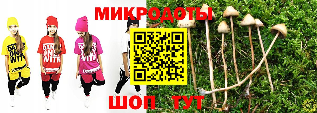Псилоцибиновые грибы GOLDEN TEACHER  Вход с VPN  Асино 