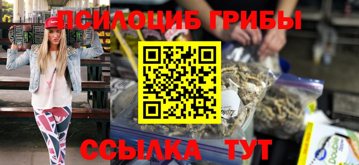 Галлюциногенные грибы Cubensis Асино