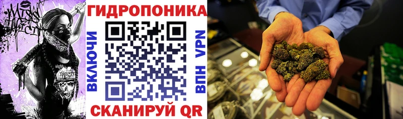 где купить Асино shop Telegram Шишки марихуана White Widow